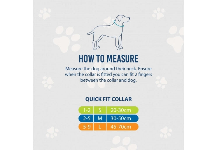 England Football Dog Collar