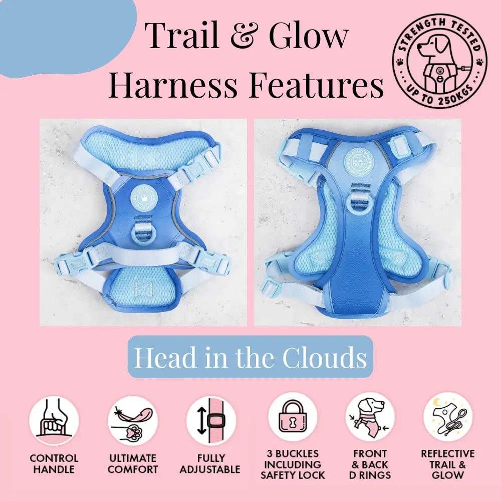 Head in the Clouds Trail & Glow Dog Harness