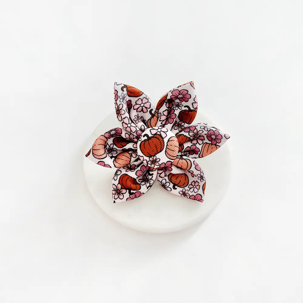 Cocopup Pup-Kin Meadow Collar Flower