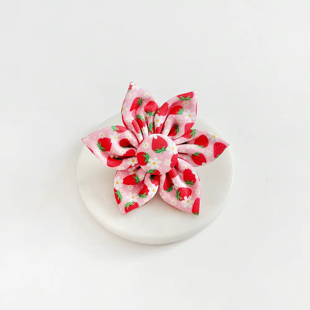 Cocopup Pupberry Fields Collar Flower