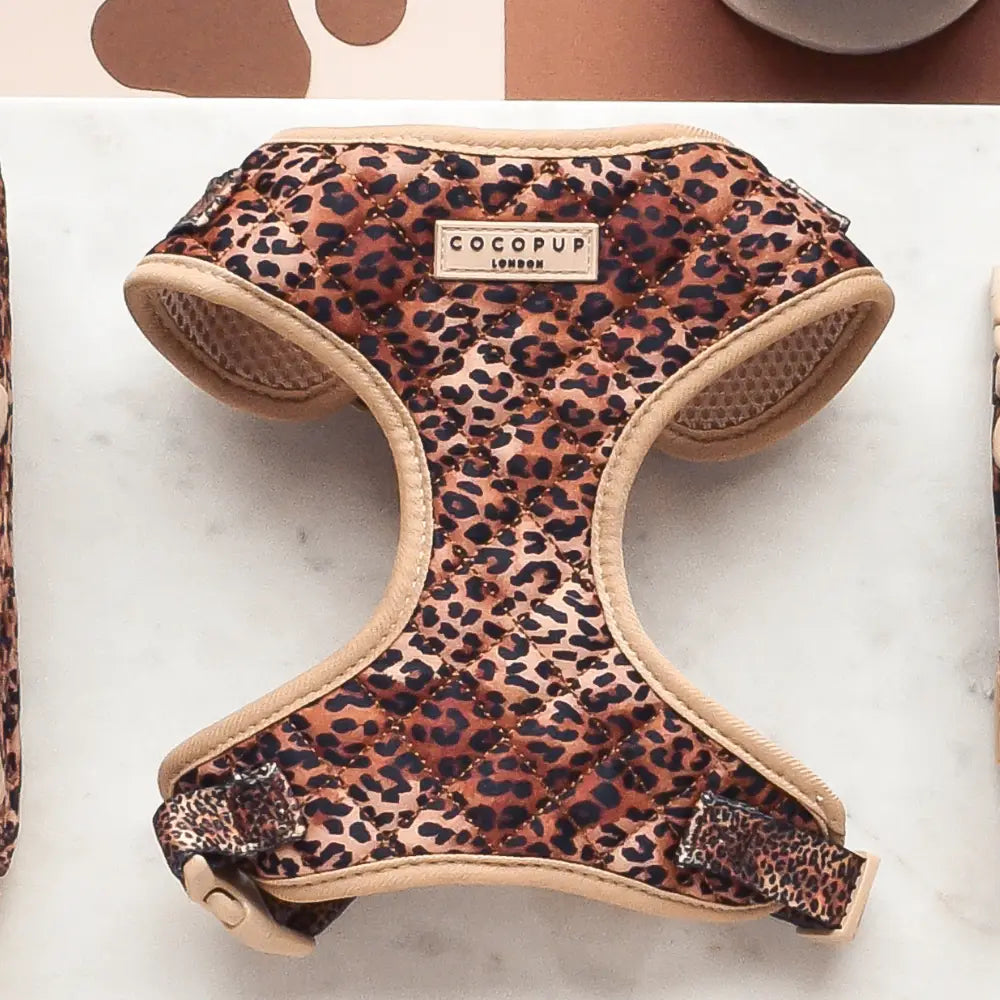 Cocopup Quilted Leopard Pup Harness – LilyPups Dog Boutique