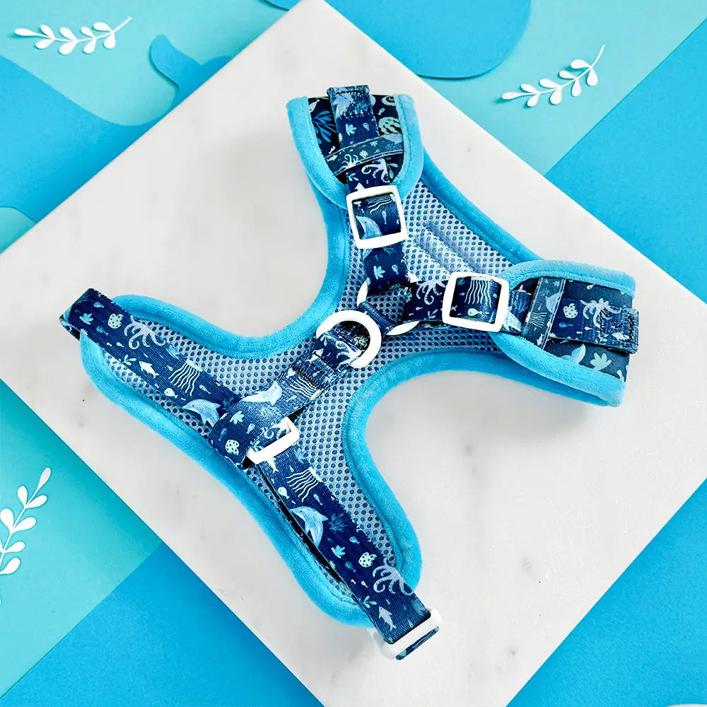Cocopup Sea Life Pawty Harness