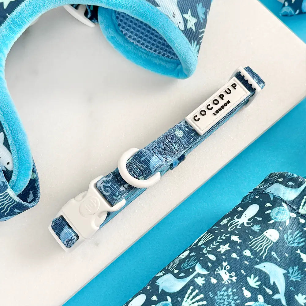 Cocopup Sea Life Pawty Collar