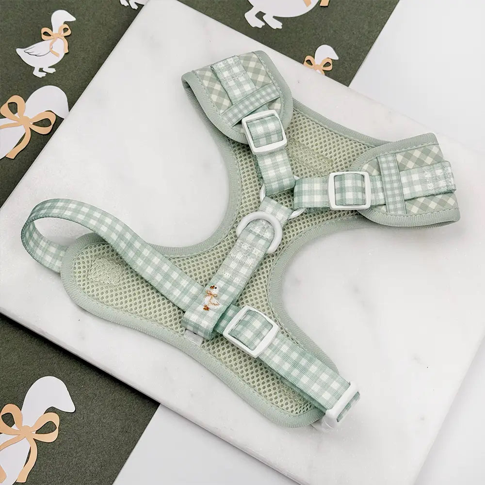 Cocopup Silly Goose Harness