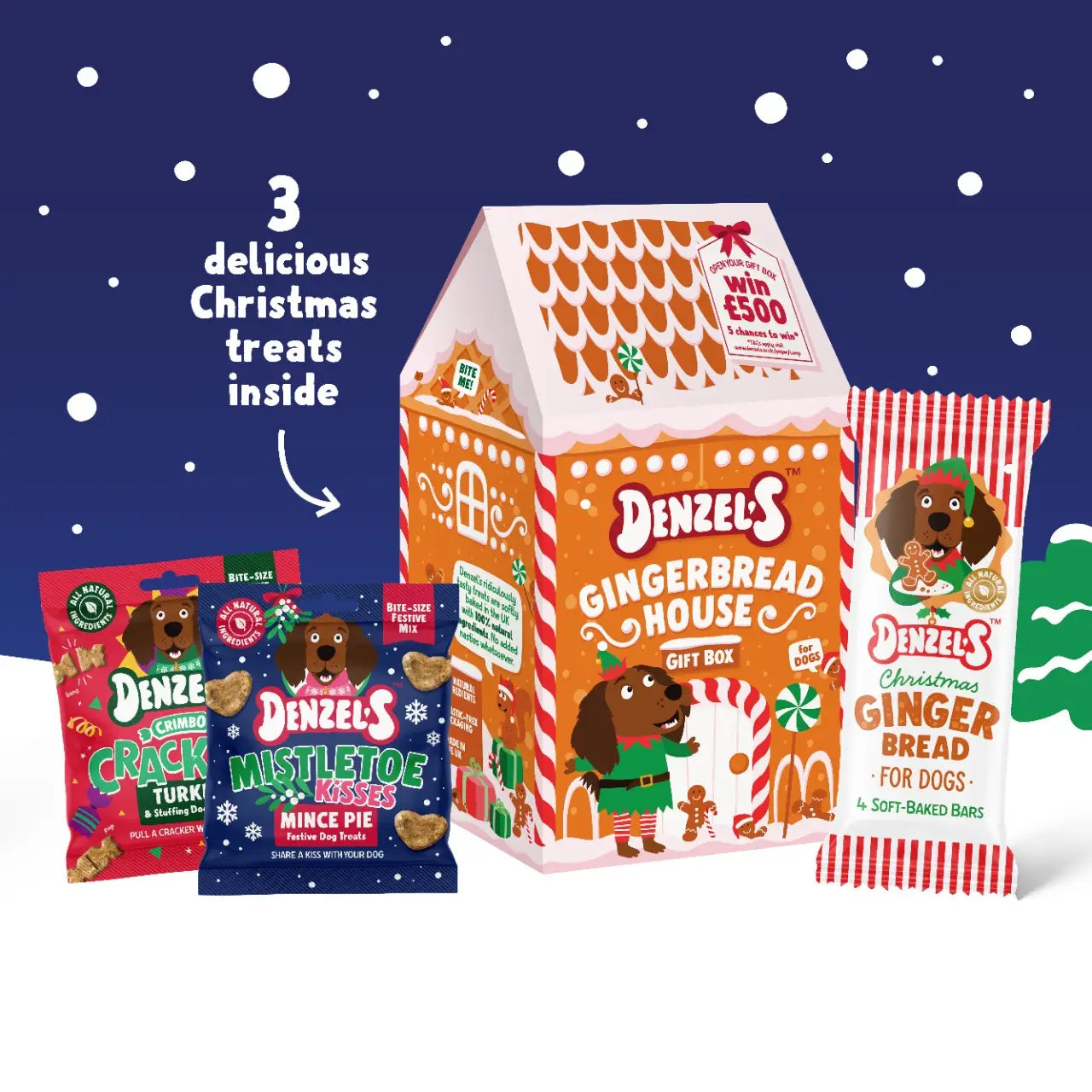 Denzel’s Gingerbread House Gift Box