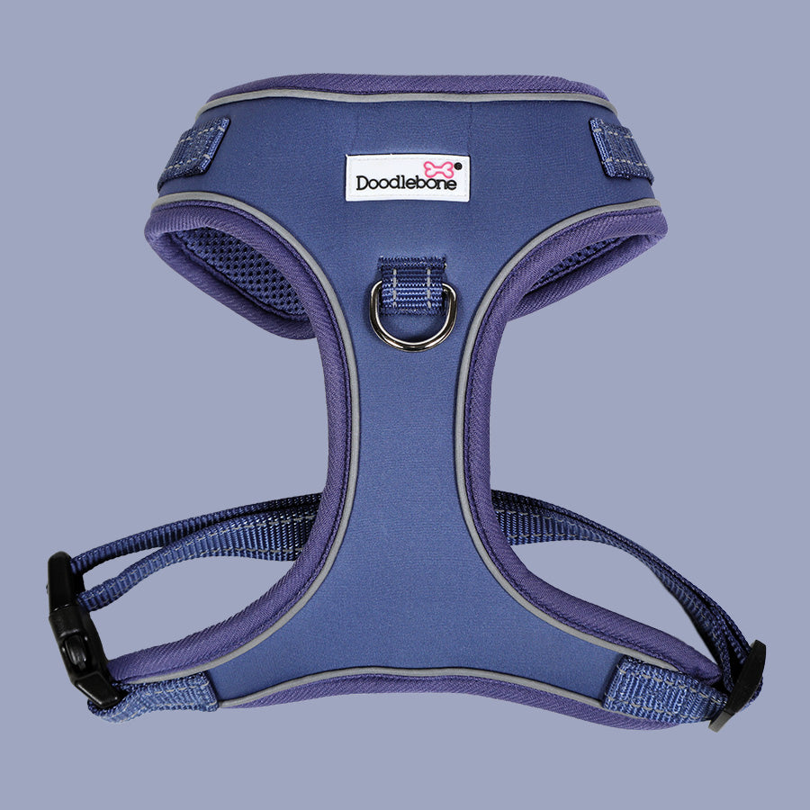 DoodleBone Indigo Adjustable Harness