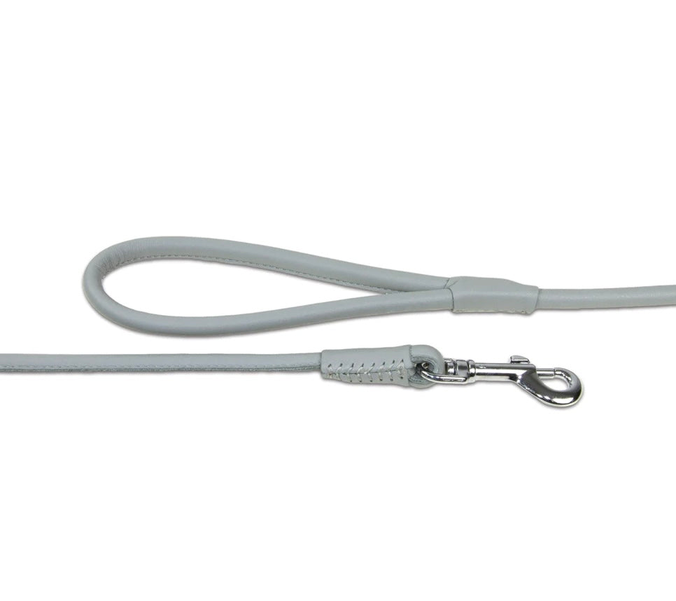 Grey Rolled Leather LeadEarthbound