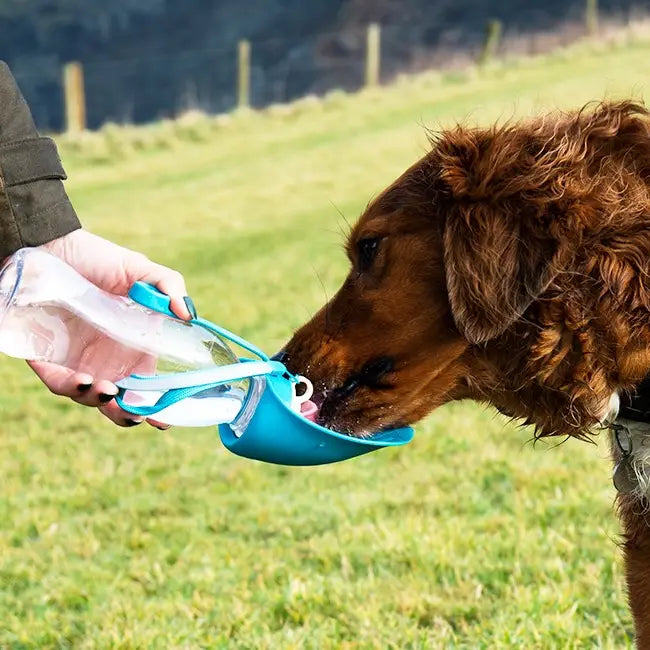 Henry Wag Pet Water Bowl (Blue)