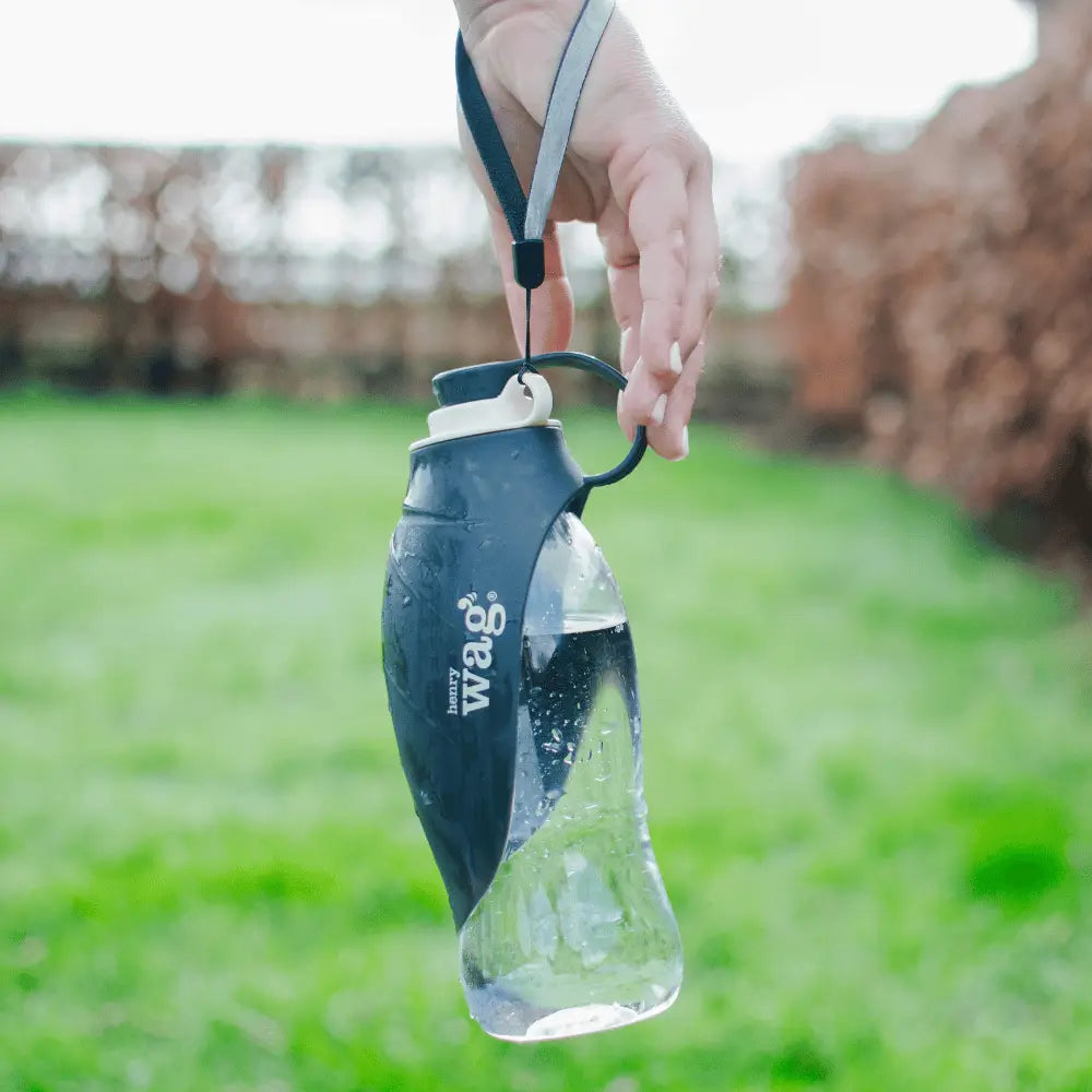 Henry Wag Pet Water Bottle (Grey)