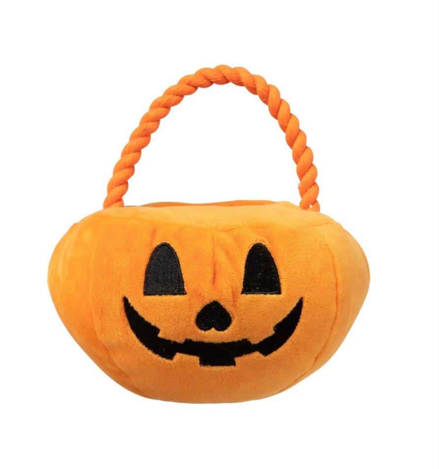 Trick or Treat Pumpkin Basket