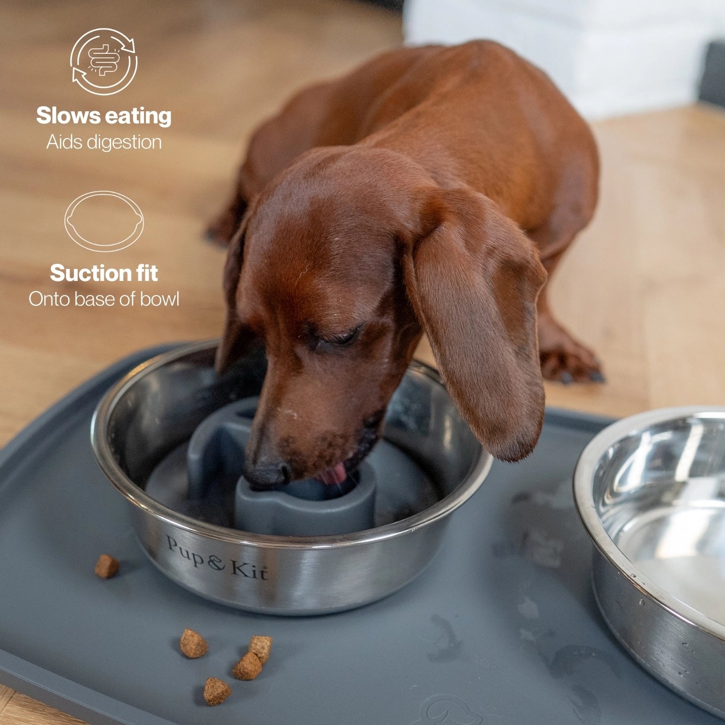Slow Feeder Bowl Insert