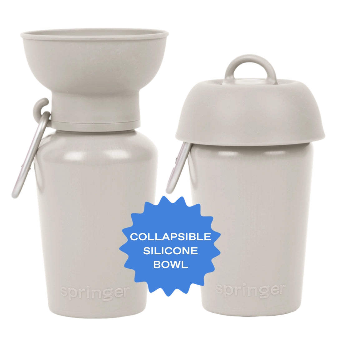 Dog Travel Water Bottle