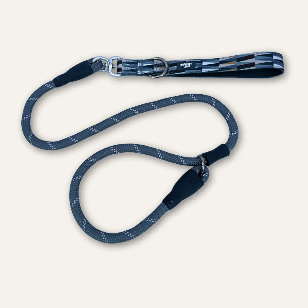 Twiggy Tags Slip Lead - Oasis