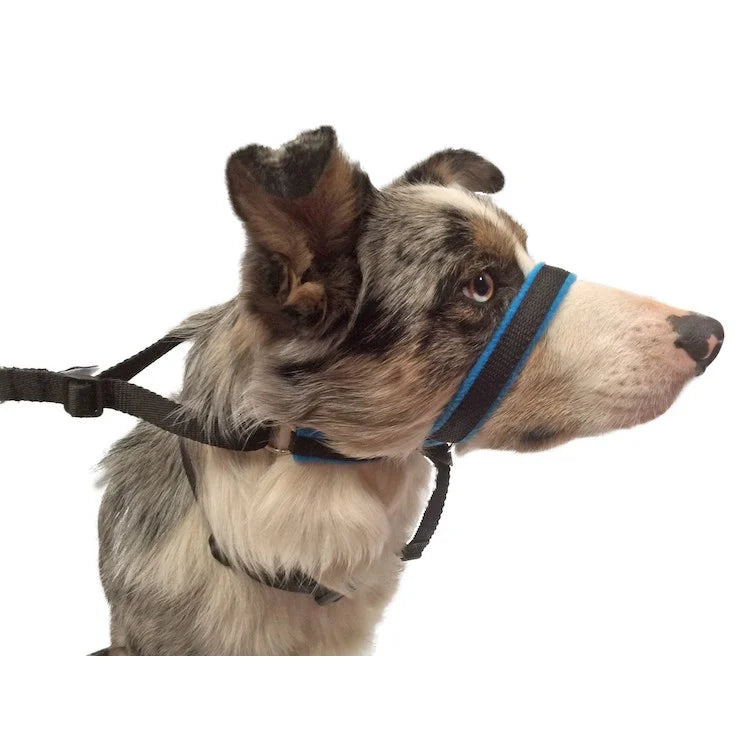 SWAG Fleece Headcollar