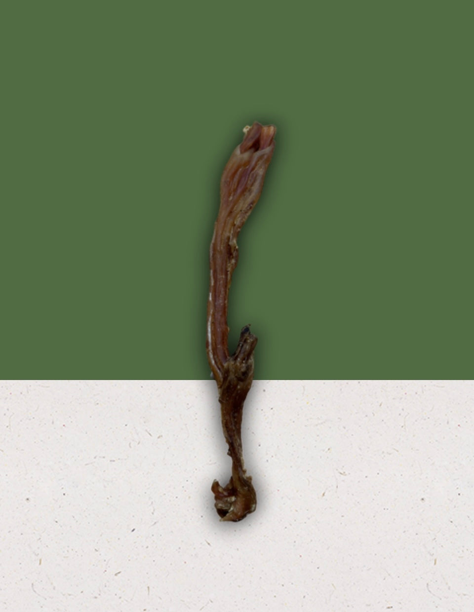 Anco Naturals Beef Tendon