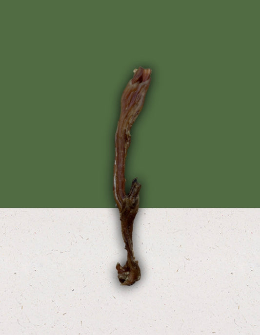 Anco Naturals Beef Tendon