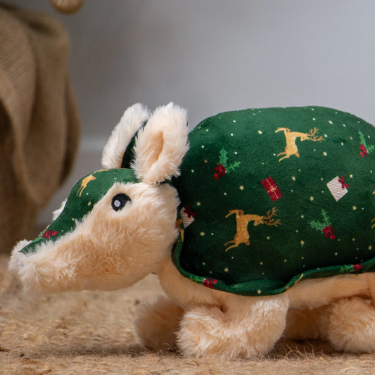 Arnold Armadillo