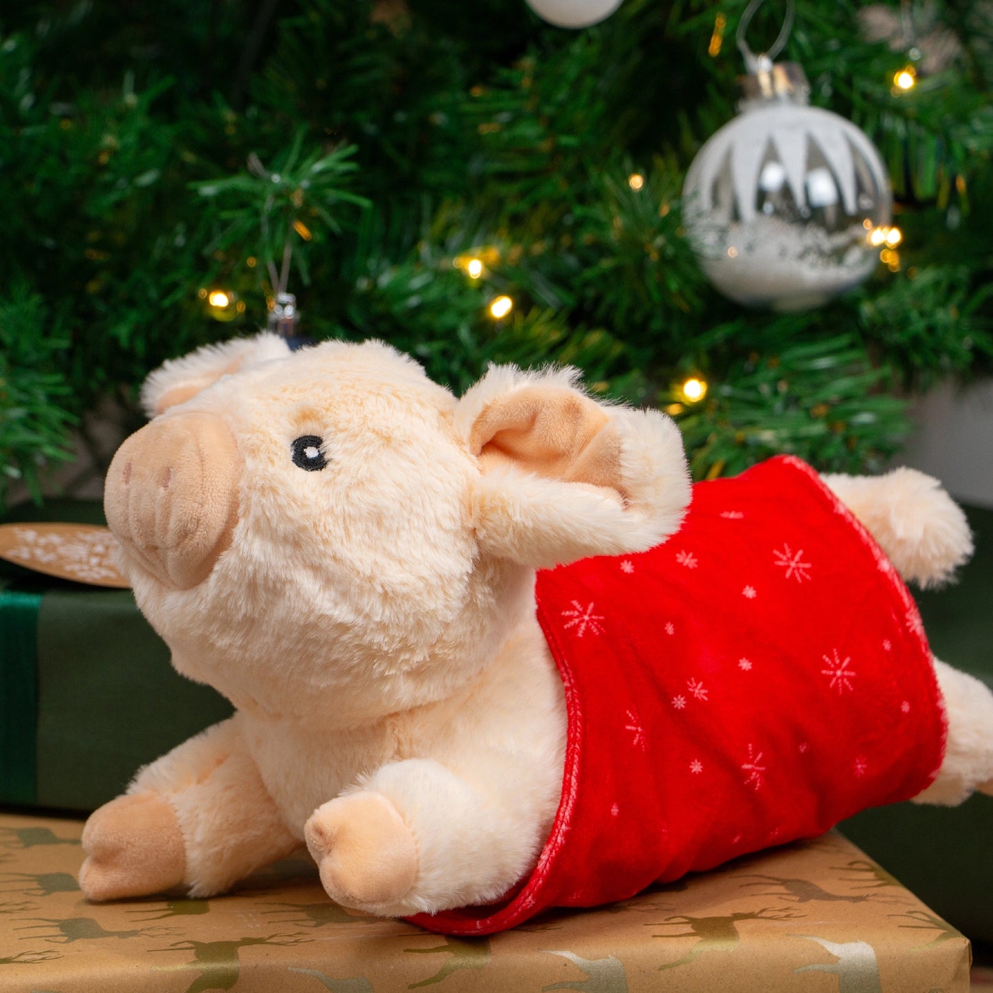 Paloma Pig in a Blanket