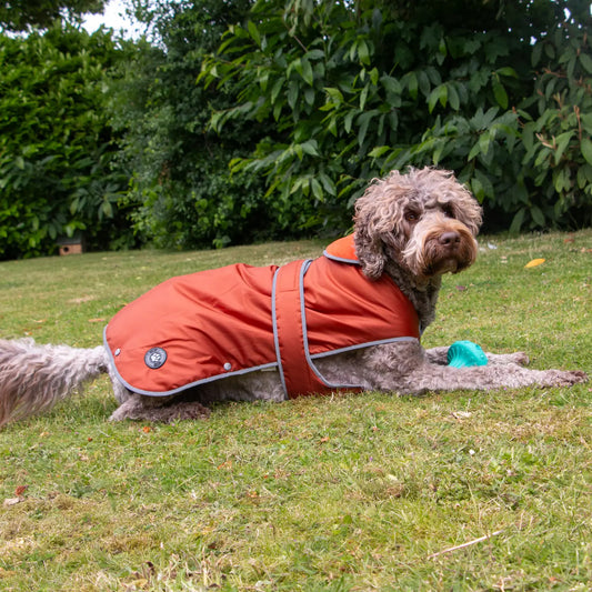 Ancol Stormguard Terracotta Dog Coat