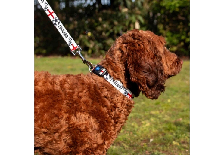 England Football Dog Collar