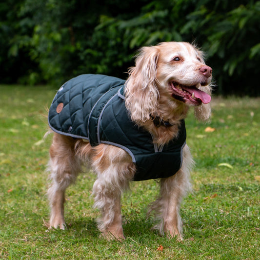 Ancol Heritage Green Quilt Dog Coat