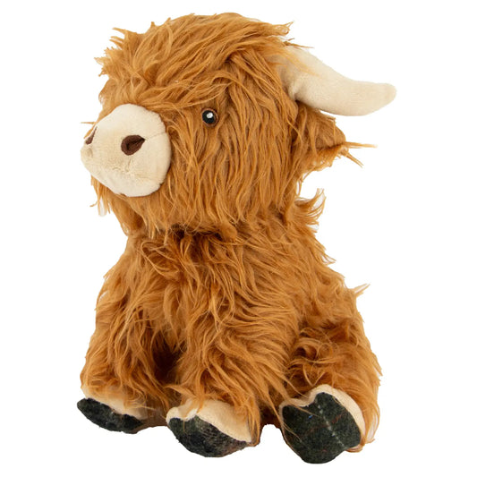Fergus the Highland Cow