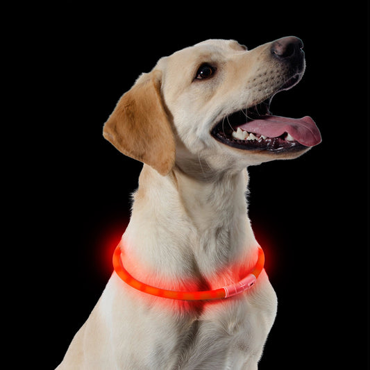 Ancol Rechargeable Flashing Band