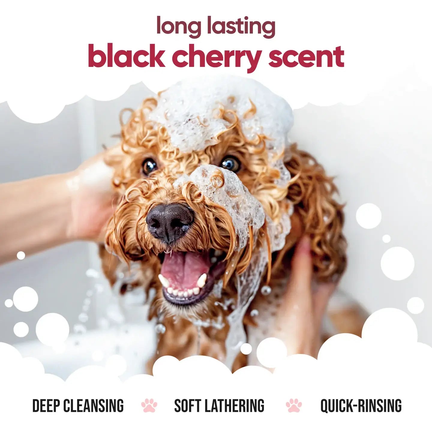 Buddycare Black Cherry Dog Shampoo 500ml