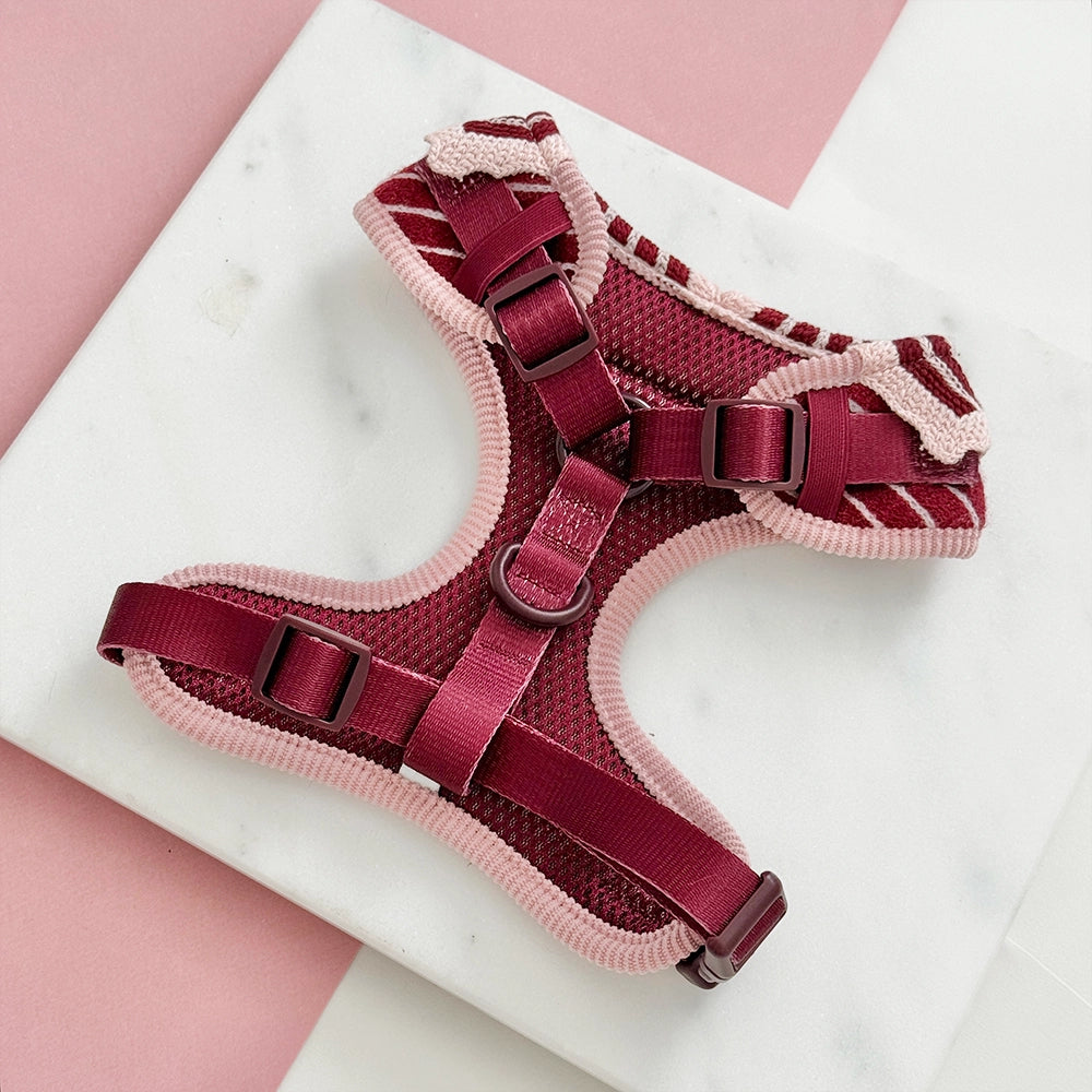 Cocopup Knitted Cherry Bakewell Harness