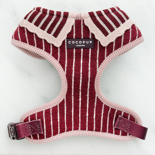 Cocopup Knitted Cherry Bakewell Harness