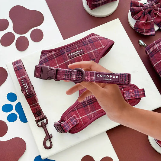 Cocopup Mulberry Plaid Collar
