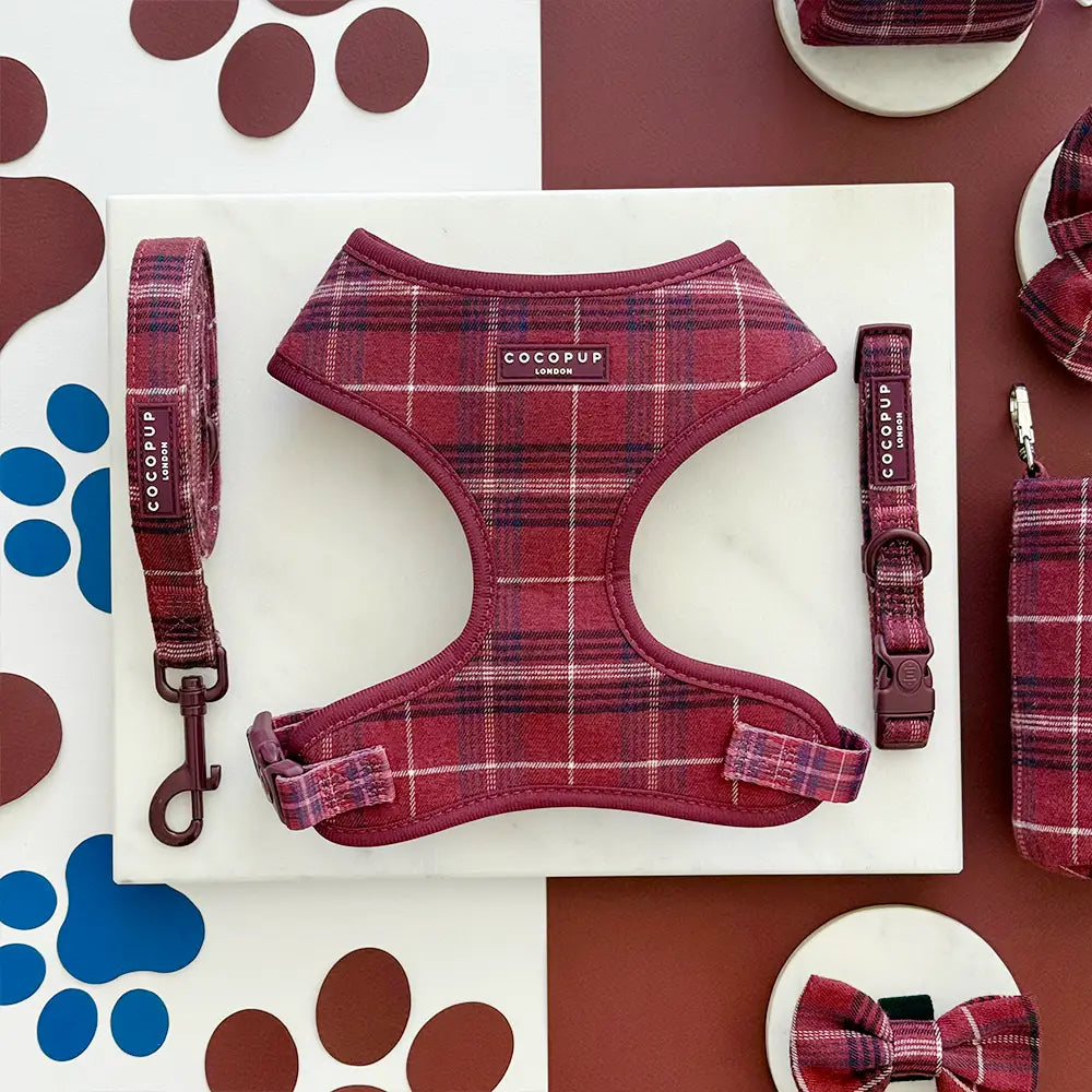 Cocopup Mulberry Plaid Lead