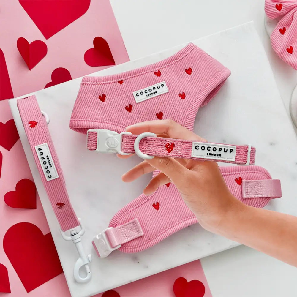 Cocopup Pink Heartstrings Cord Collar