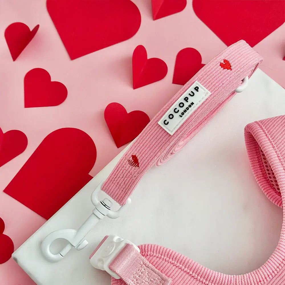 Cocopup Pink Heartstrings Cord Lead