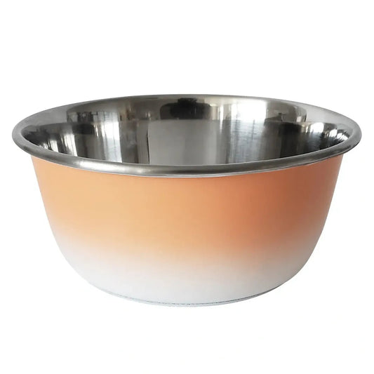Stainless Steel Coral Bowl 16oz