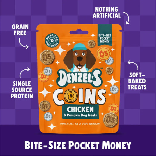 Denzel’s Coins - Chicken & Pumpkin Dog Treats