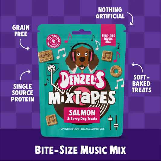 Denzel’s Mixtapes - Salmon & Berry Dog Treats