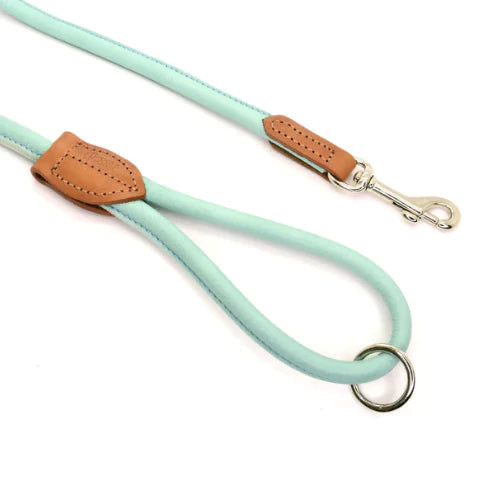 Dogs & Horses Rolled Soft Leather Dog Lead Aqua