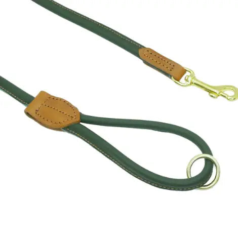 Dogs & Horses Rolled Soft Leather Dog Lead Racing Green