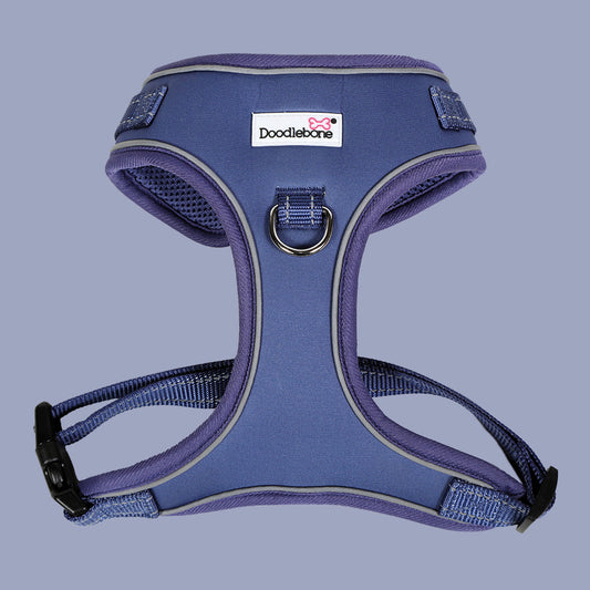 DoodleBone Indigo Adjustable Harness