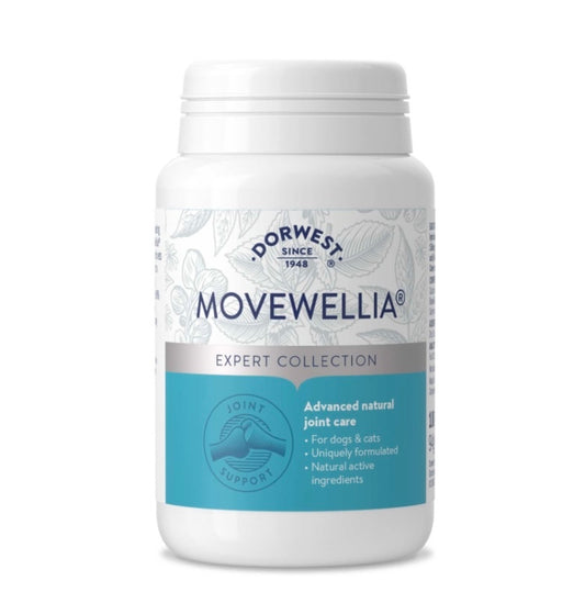 MoveWellia