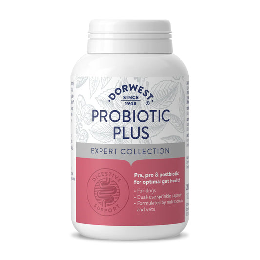 Probiotic Plus
