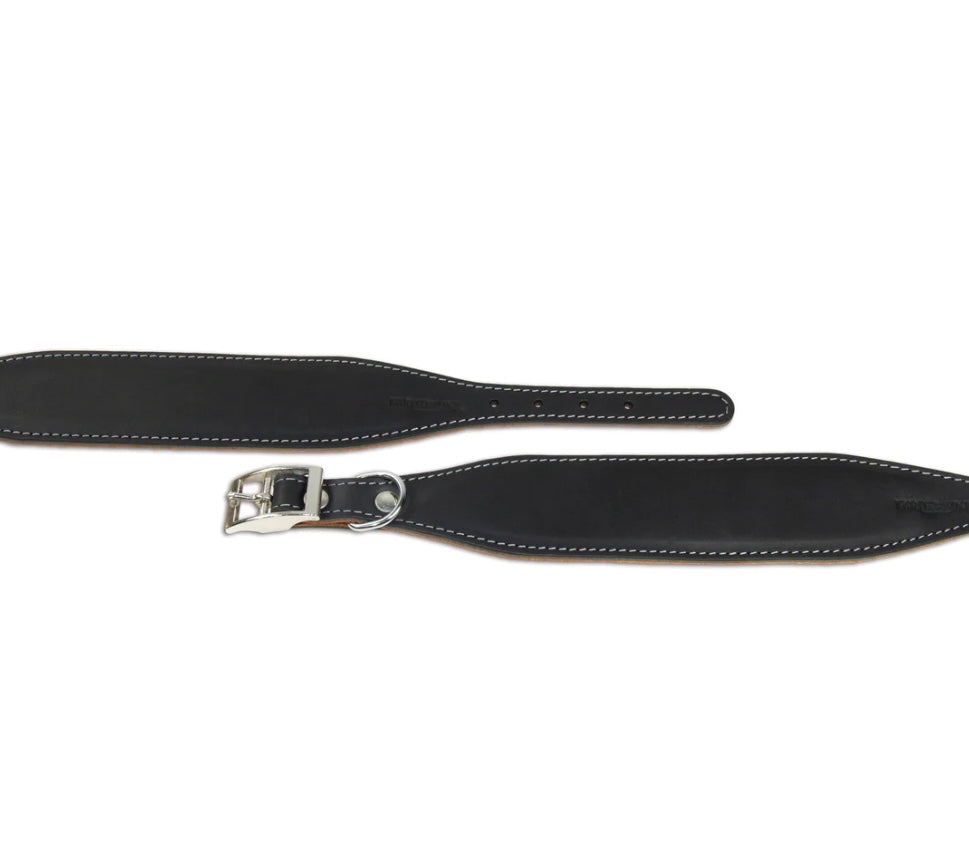 Black Leather Whippet CollarEarthbound