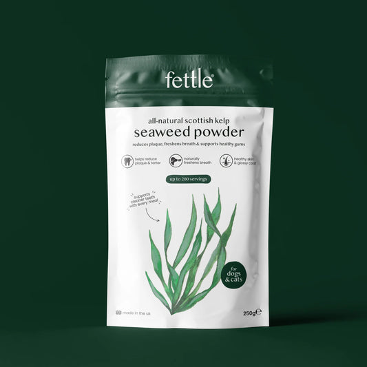 Fettle Kelp Seaweed Powder