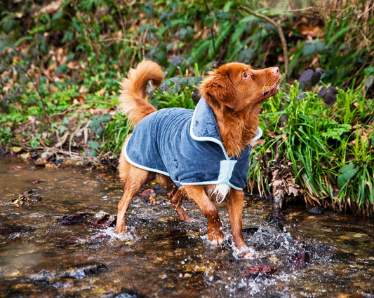 Dog Drying Coat