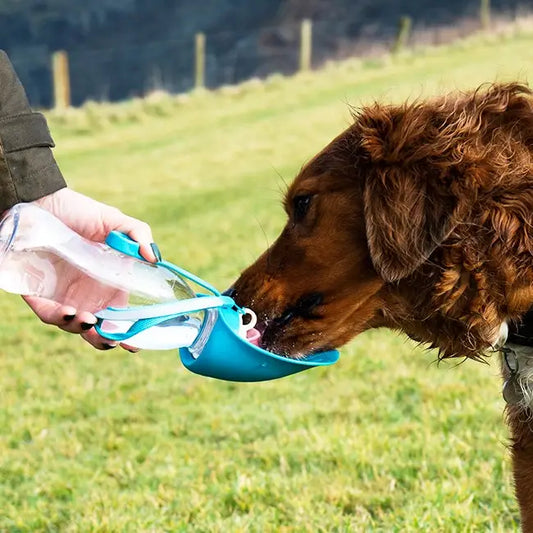 Henry Wag Pet Water Bowl (Blue)