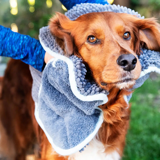 Noodle Dog Drying Glove