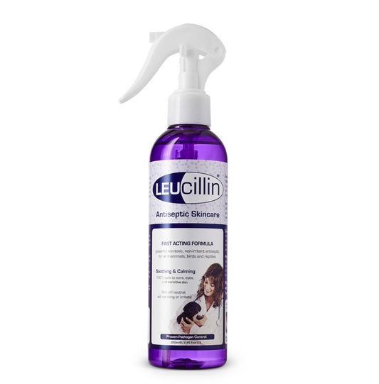 Leucillin Antiseptic Spray 250ml