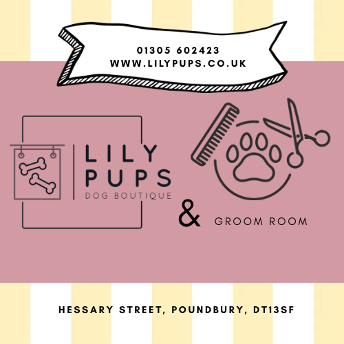 LilyPups Dog Boutique 