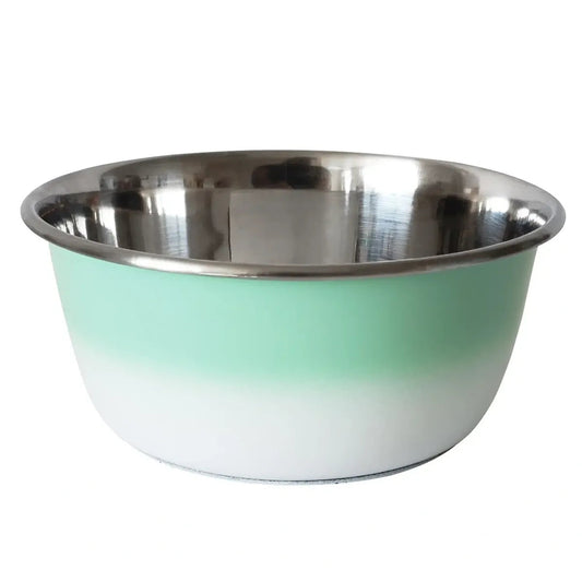 Stainless Steel Mint Green Bowl 16oz